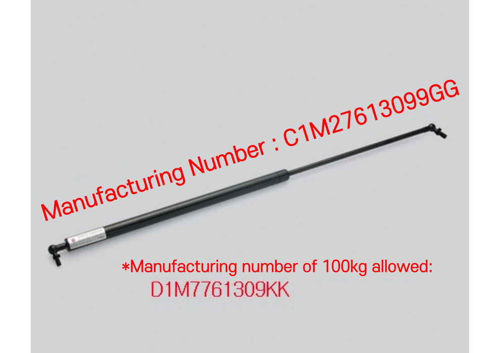 [BUYOUNG] Gas Spring BY4-761